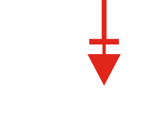 Logo Webster blanc